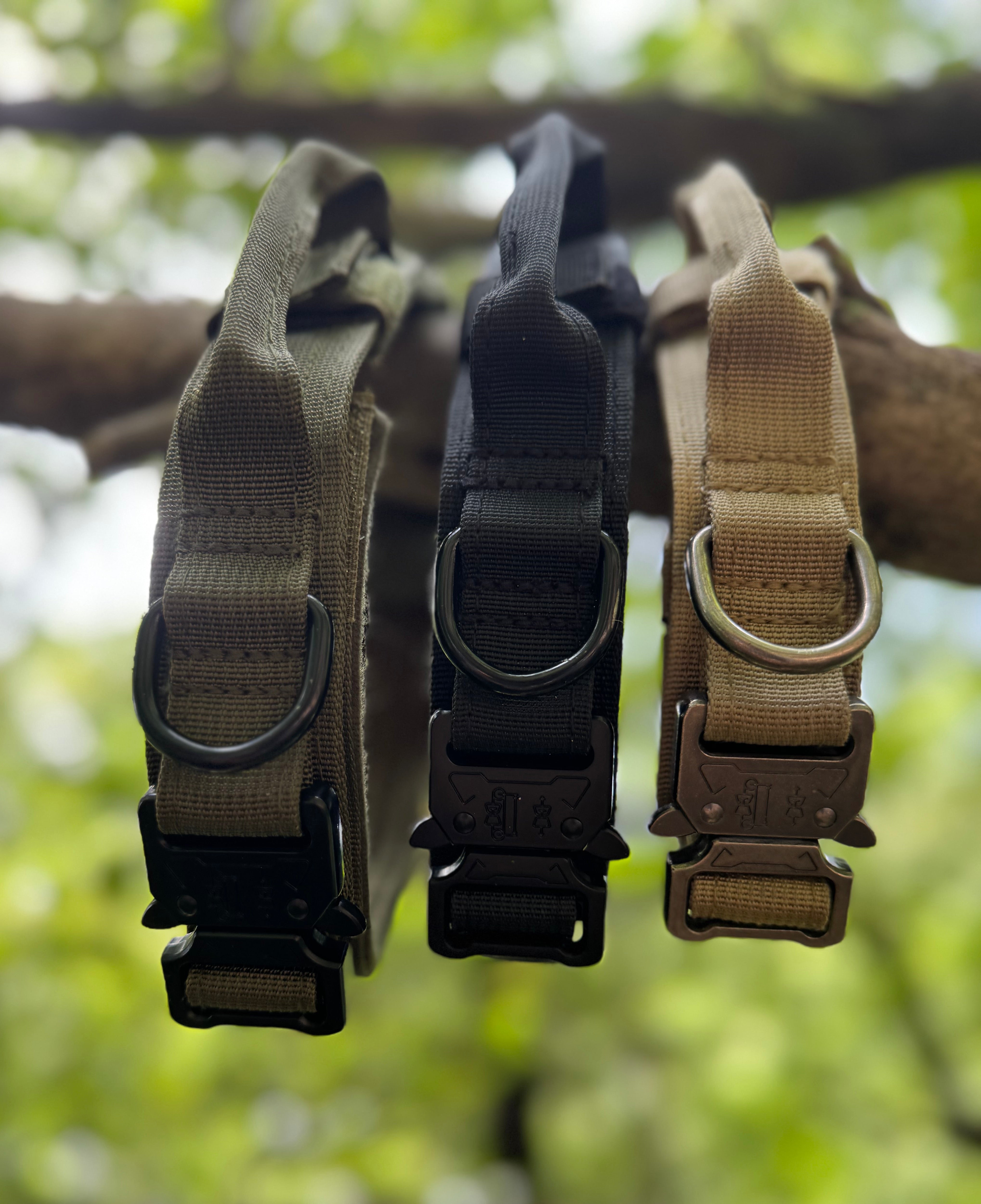 Durable Nylon Dog Collar
